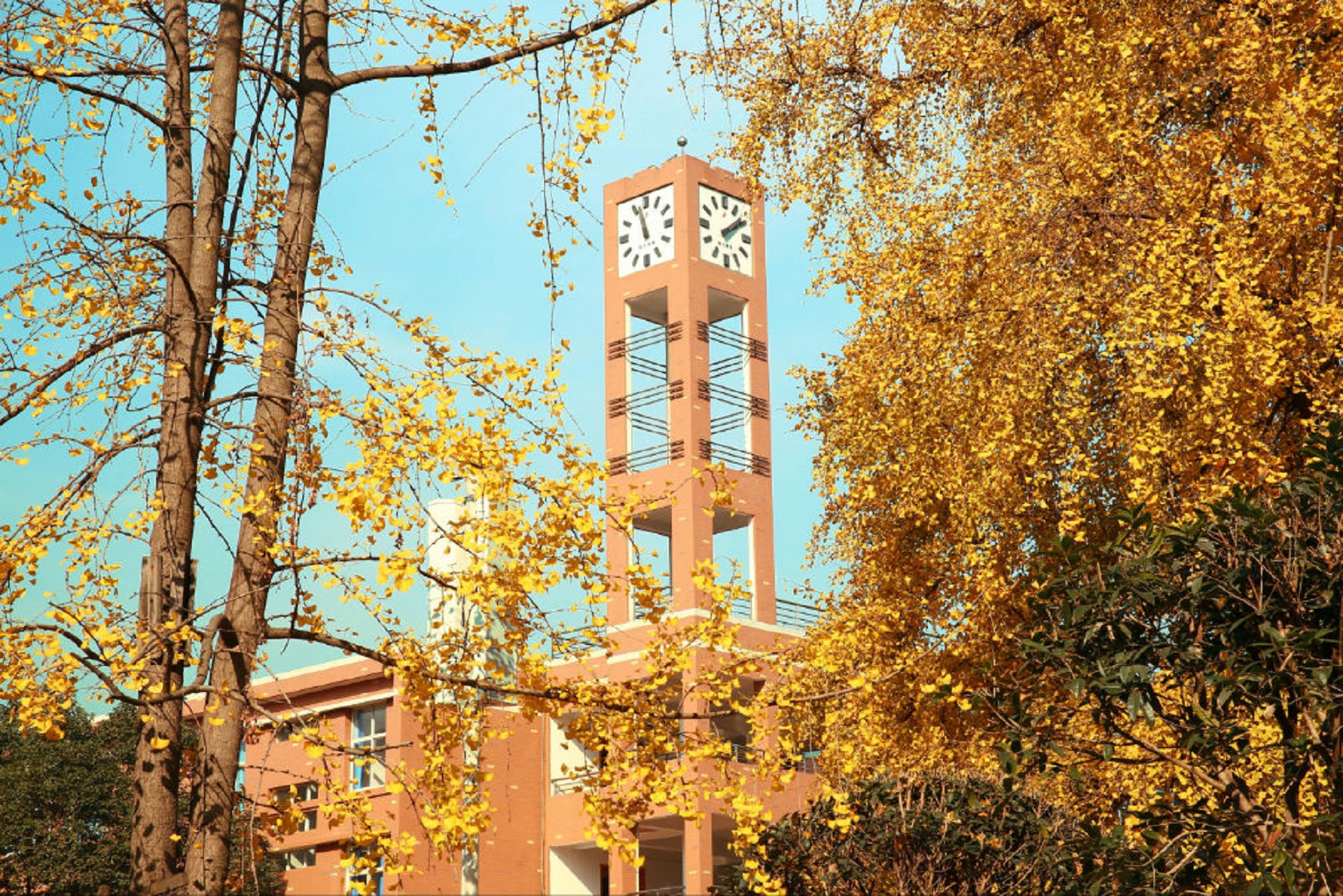 成都市第十八中学校(成都市第十八中学校怎么样)
